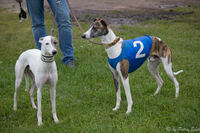 13-06-01 Coursing-6918